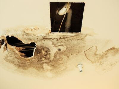 Professional water damage restoration services in Roseville - HomeHavenX